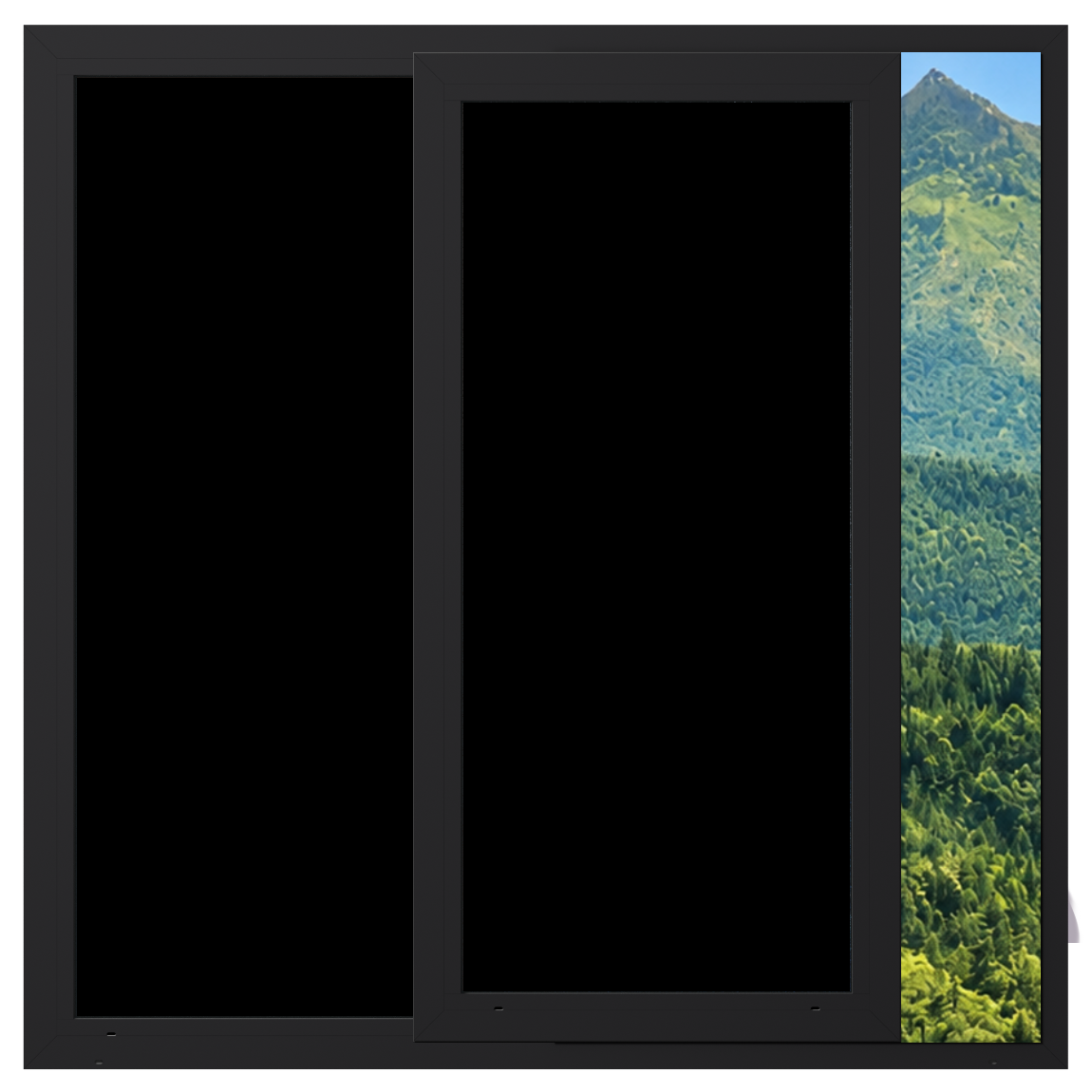 Blackout Window Film